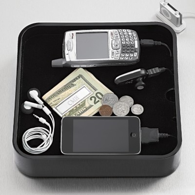 sanctuary charging station