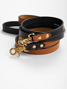 best in park voyage lead