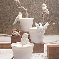 soy aviary candle