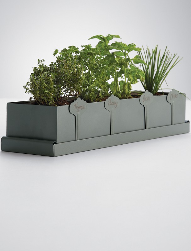 kitchen herb planter
