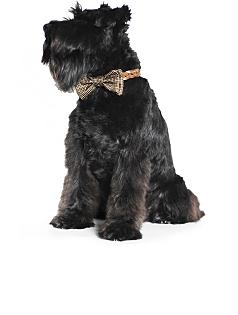 best in park tweed bow tie
