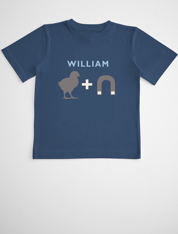 chick magnet boy's t-shirt