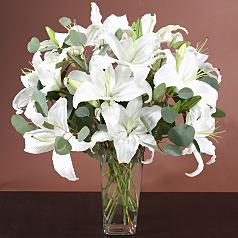 Sympathy Lilies