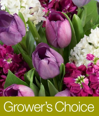 Grower's Choice