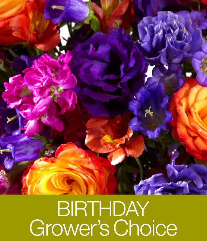 Birthday Grower's Choice with FREE Vase & Chocolates