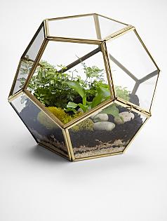 polygon glass terrarium