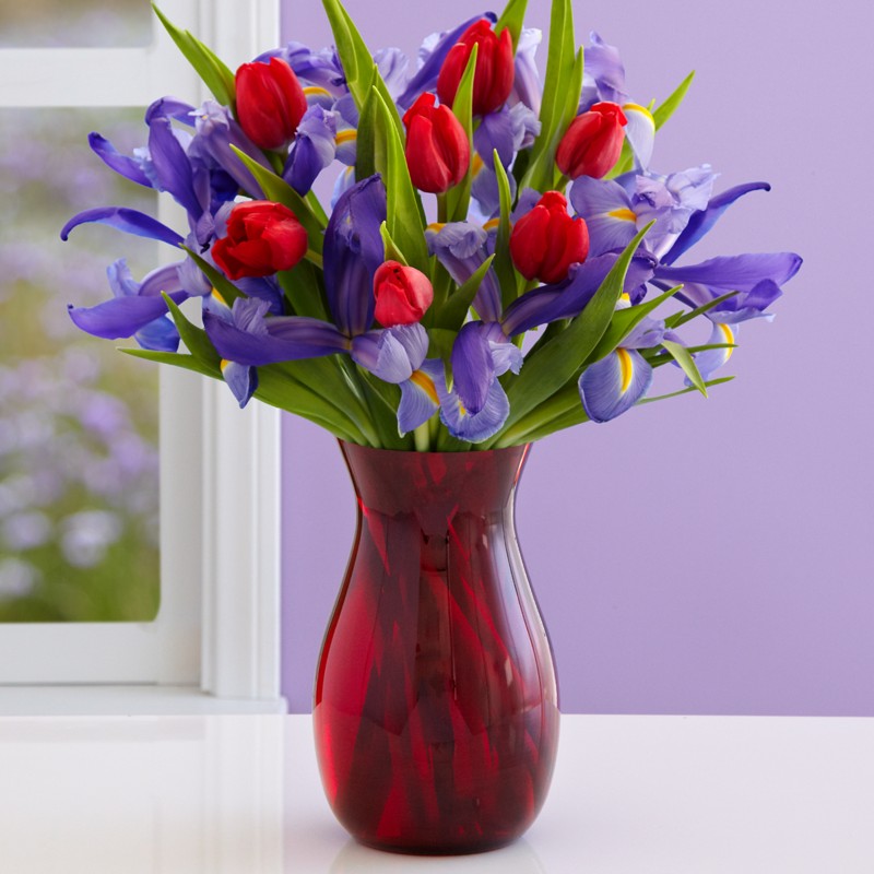 Tender Hugs and Kisses 