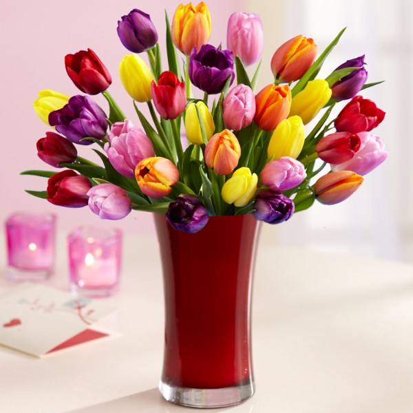 30 Multi-Colored Valentine's Tulips