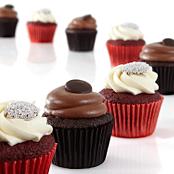 Chocolate & Red Velvet Cupcakes - 8 Count
