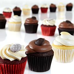 Cupcake Sampler - 16 Count