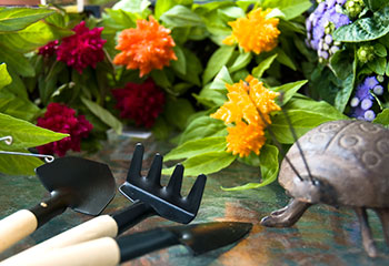 350x240-urban-gardening