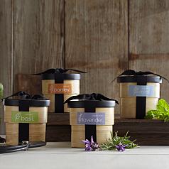 bamboo herb grow kit