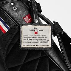 iliac pledge to walk