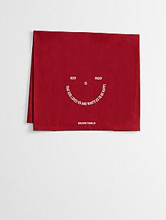 beer is proof kitchen towel