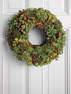 living succulent wreath