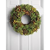 living succulent wreath