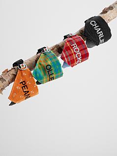 wildebeest pet bandana collar