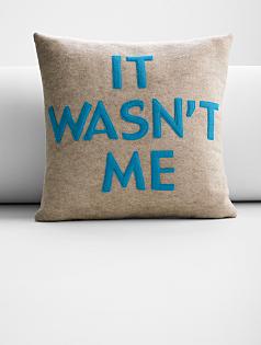 eco pillow - it wasn't me