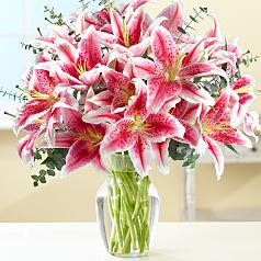 Deluxe Fragrant Stargazer Lilies