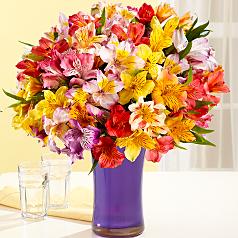 100 Blooms of Peruvian Lilies