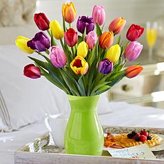 20 Multi-Colored Tulips