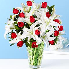 Deluxe Always & Forever