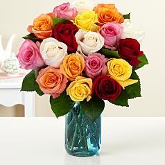 18 Rainbow Roses