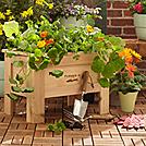 Farmer D garden cedar box