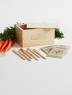 gourmet salad seed grow kit