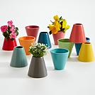 year of seeds grow kit